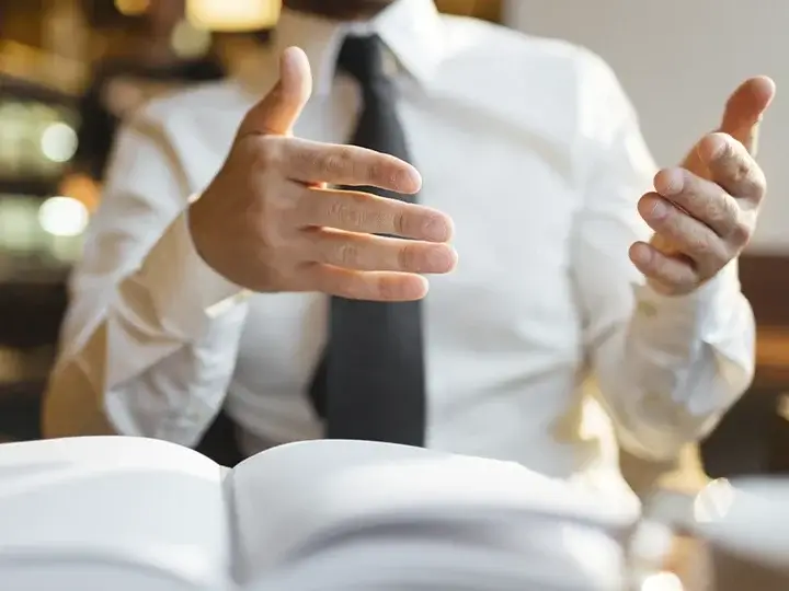 descreve Auditoria de Licitações