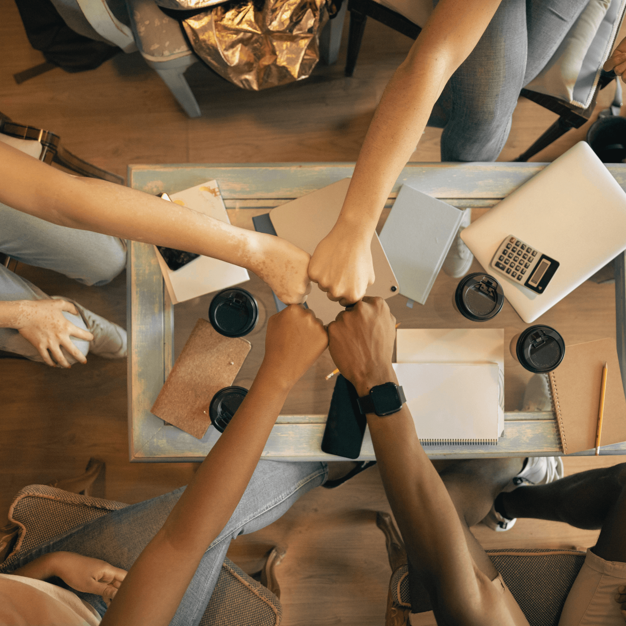 Auditoria de programas sociais: Avaliando a eficiência e eficácia governamental